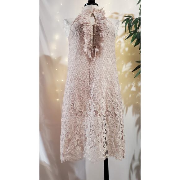 Diane von Furstenberg Olvida Lace Ruffle Silk Lined Dress Size 4 Beige Victorian - Picture 3 of 14